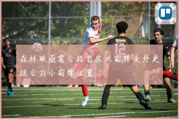 森林狼亟需合格首发大前锋麦丹更适合打小前锋位置