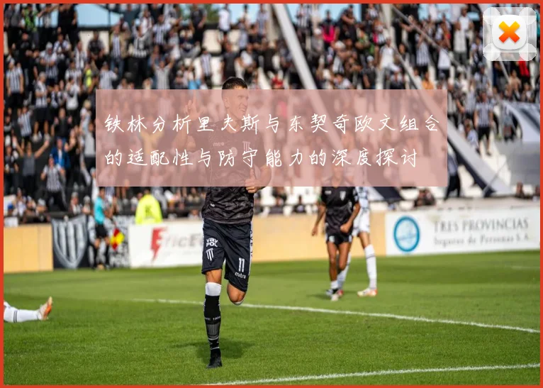 铁林分析里夫斯与东契奇欧文组合的适配性与防守能力的深度探讨